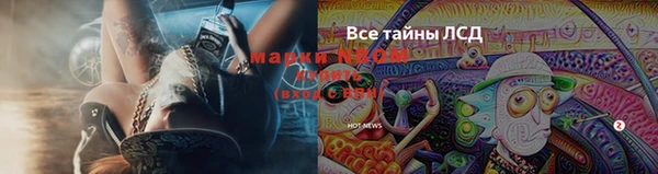 эйфоретик Баксан