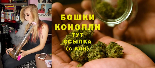 эйфоретик Баксан
