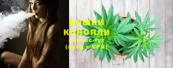 гидра Сосновый Бор